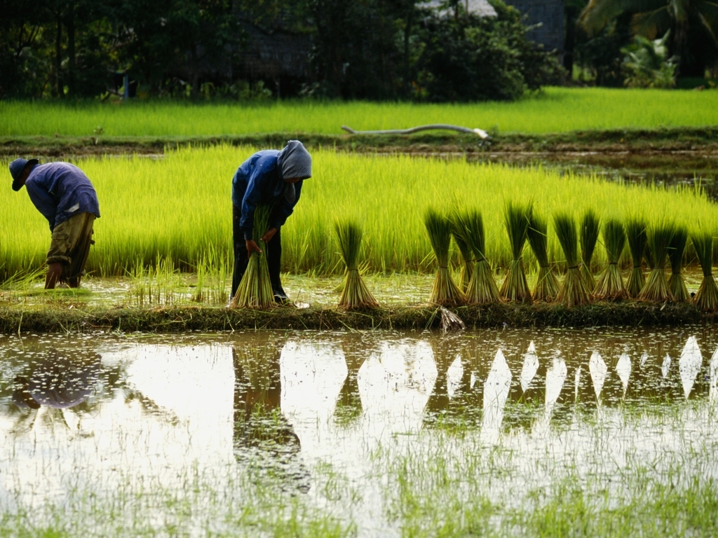 Vietnam & Kambodscha