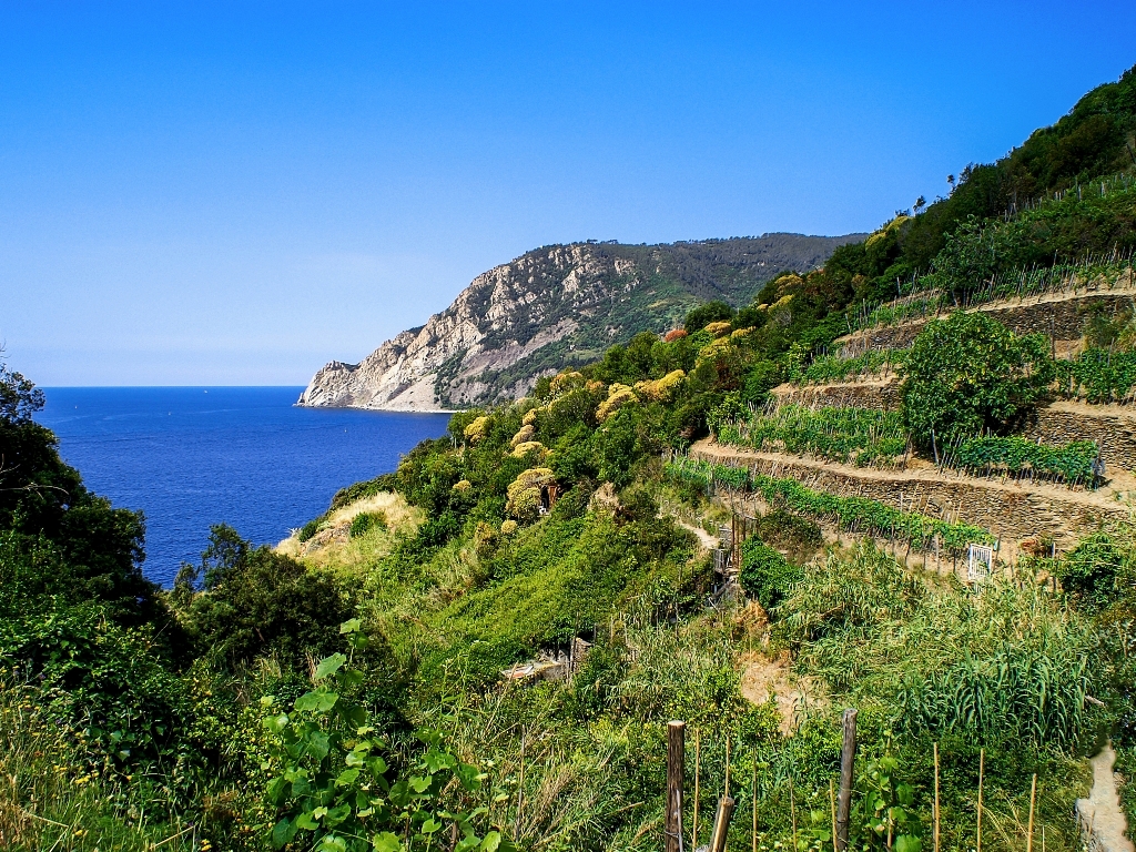Cinque Terre