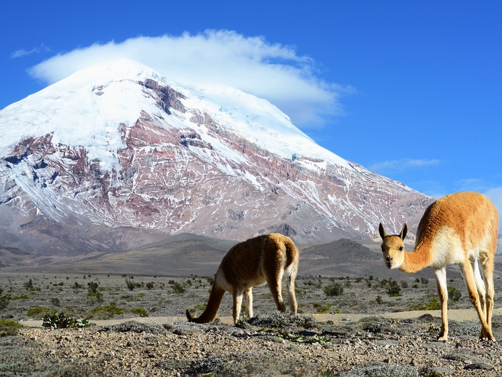 Ecuador Chimborazo