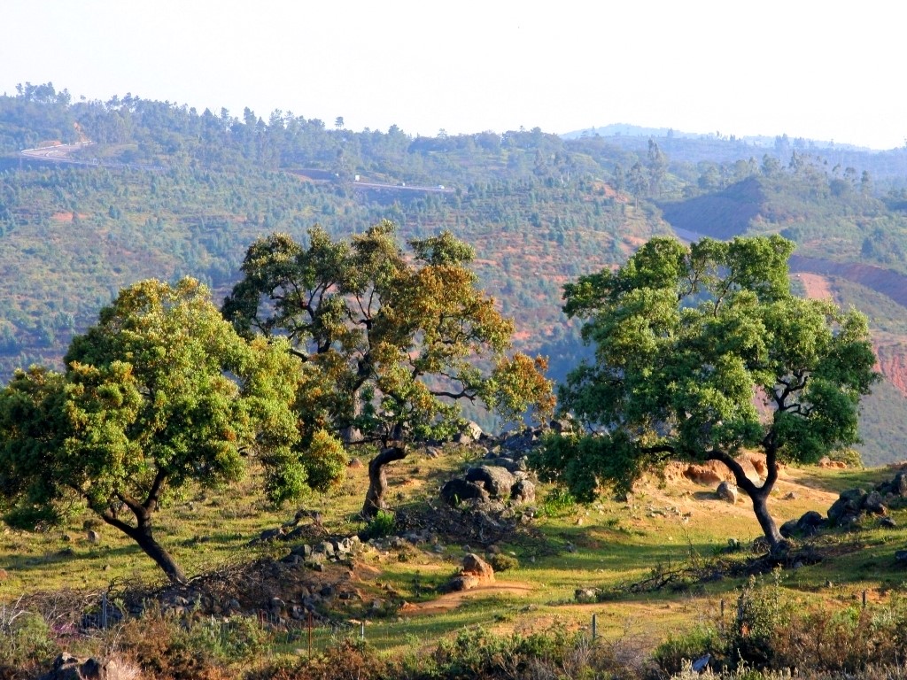 Extremadura