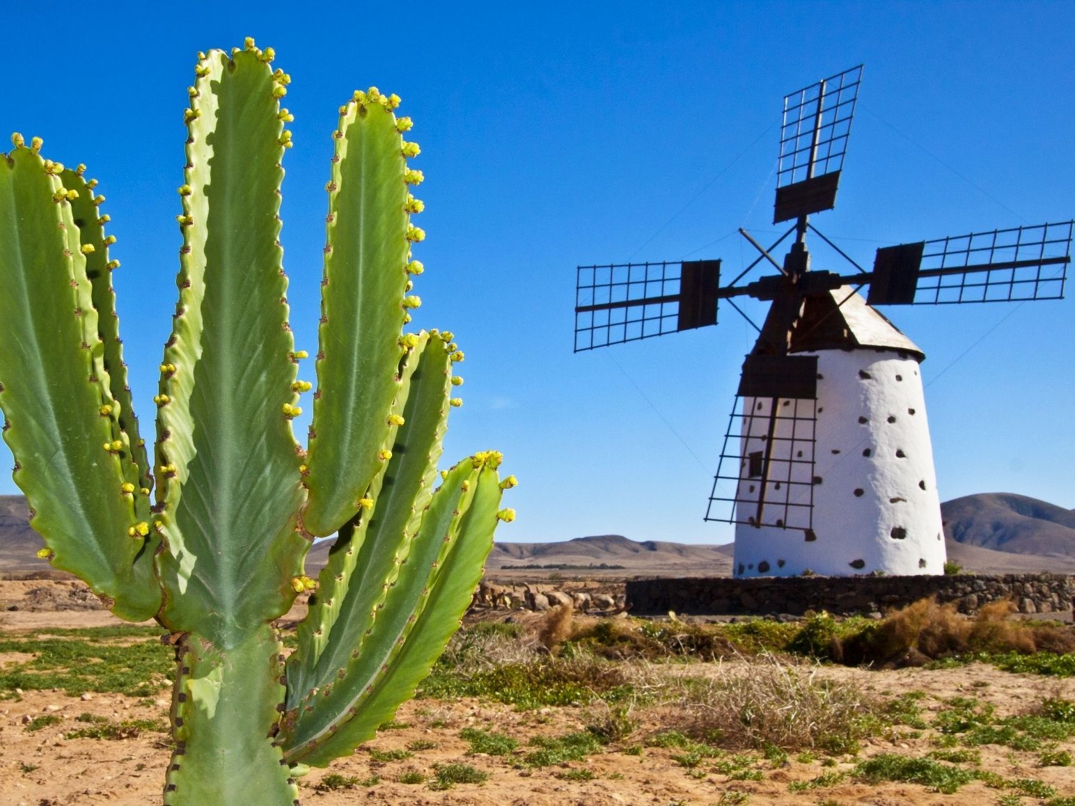 Fuerteventura