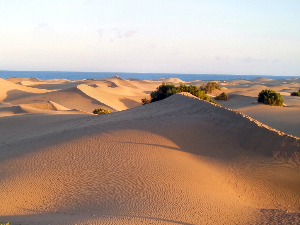 Gran Canaria