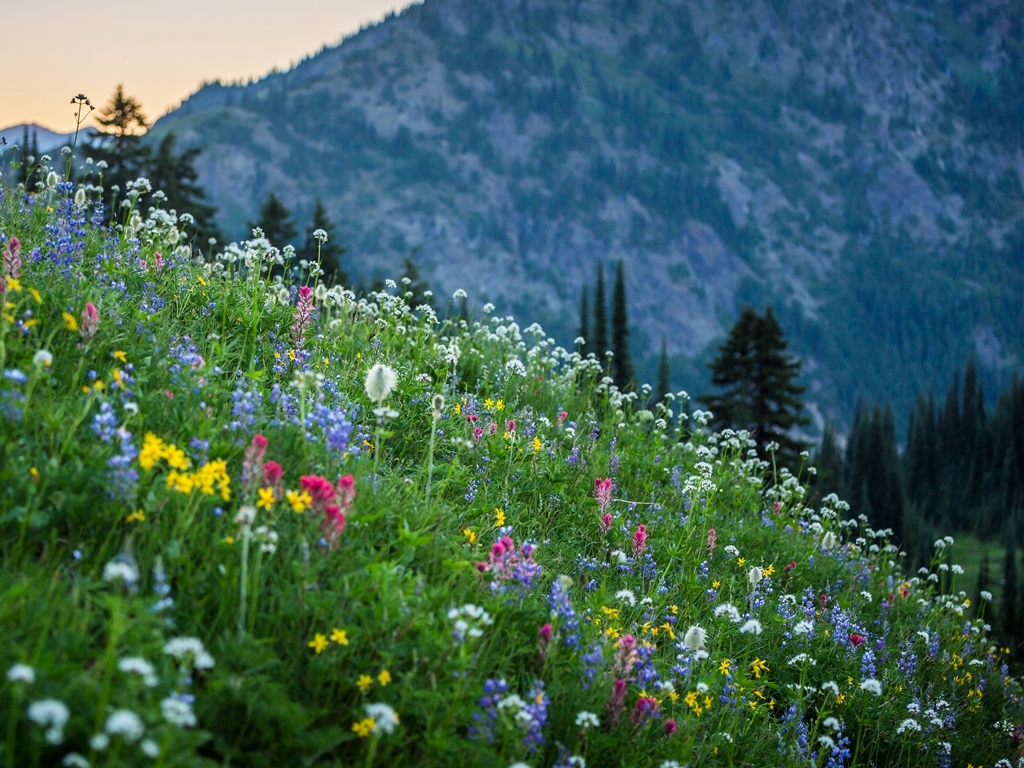 Ledro-Tal Wandern