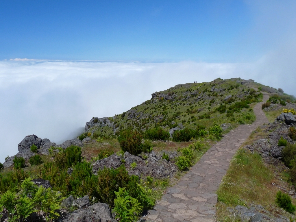 Madeira