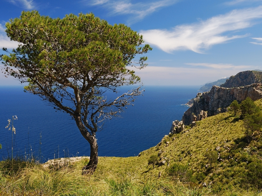 Mallorca Wandern