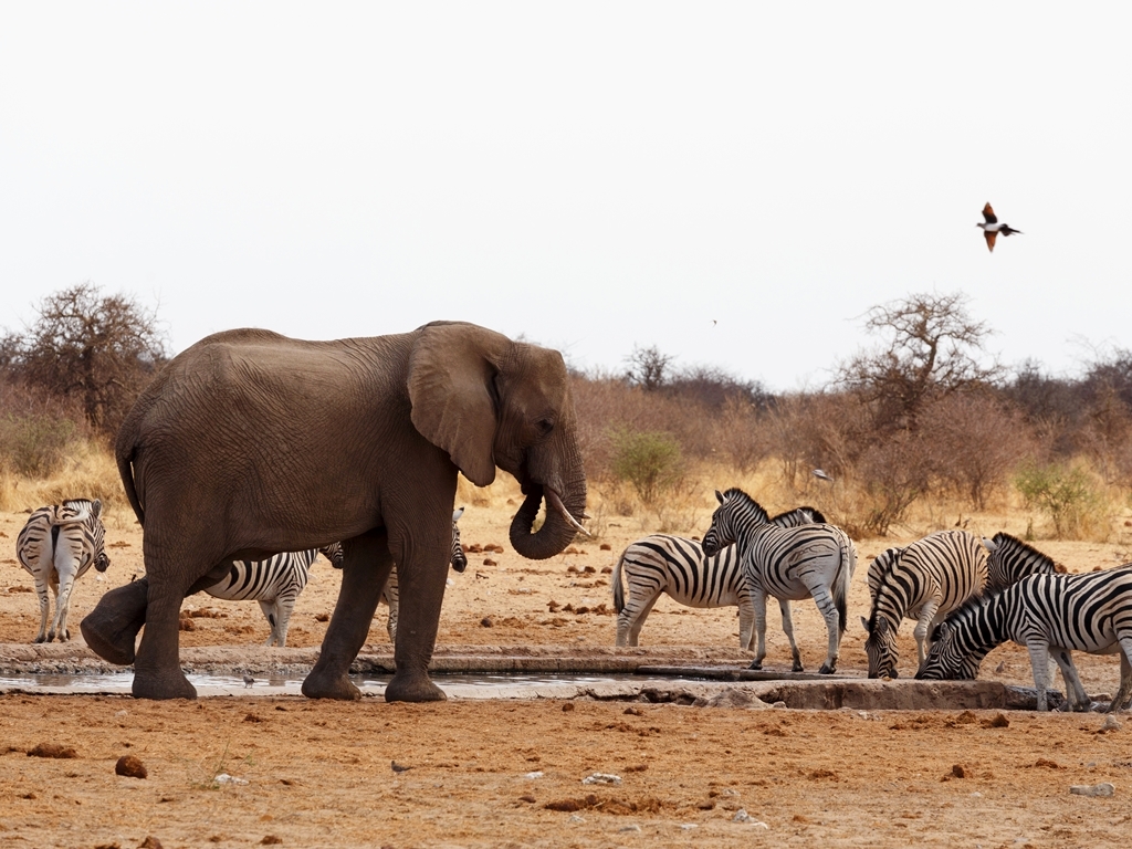 Namibia