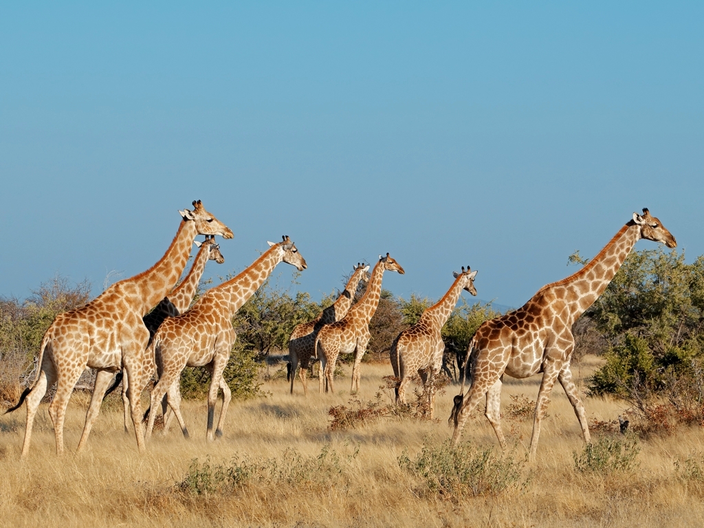 Namibia