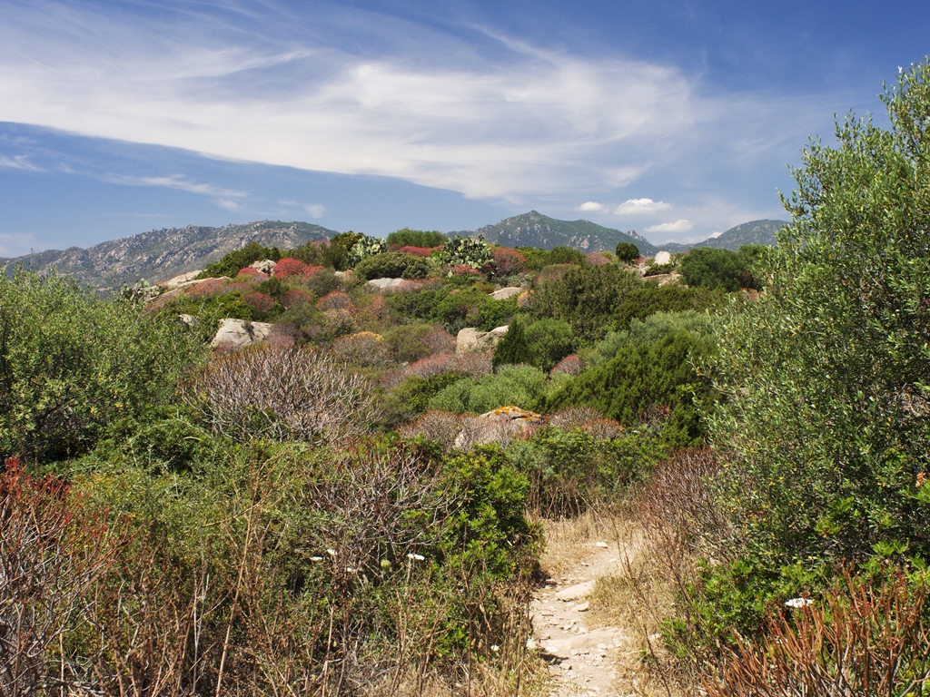 Sardiniens Süden