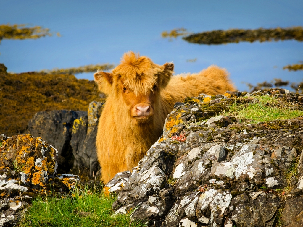 Schottland Wandern