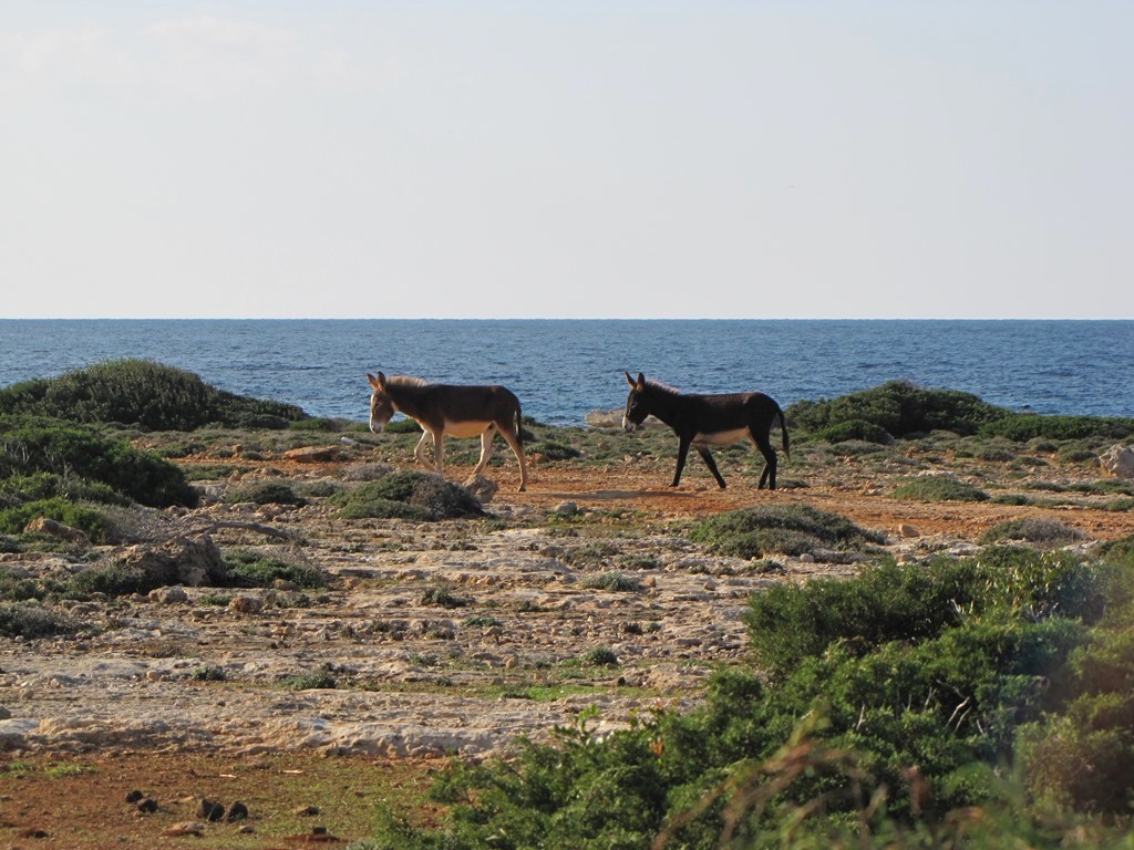 Zyperns Norden Wandern