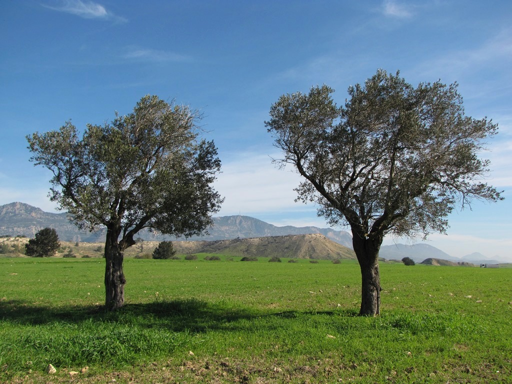 Zyperns Norden Wandern