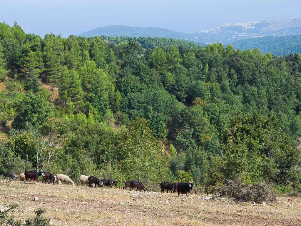 Apulien Wandern