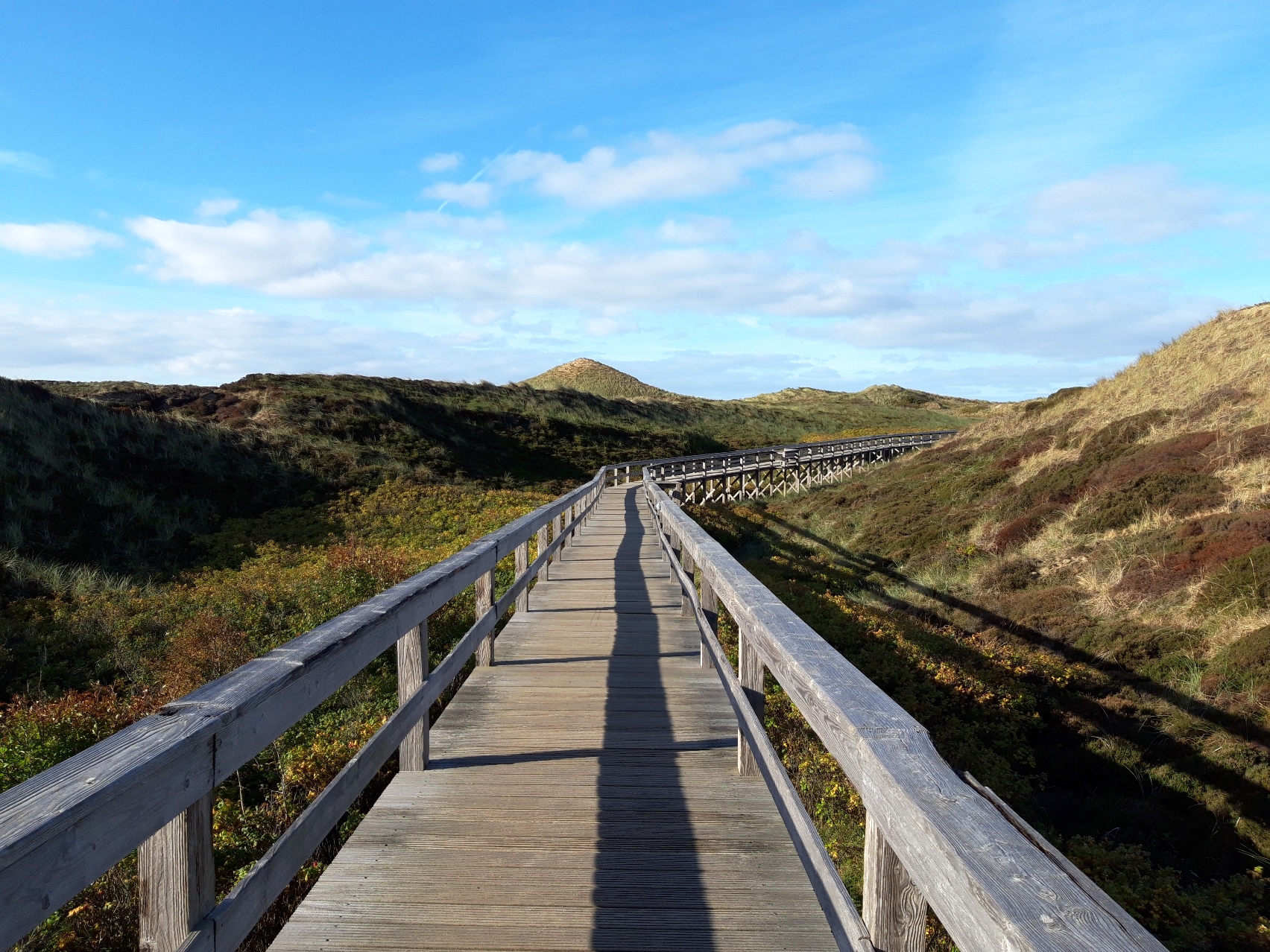 Sylt
