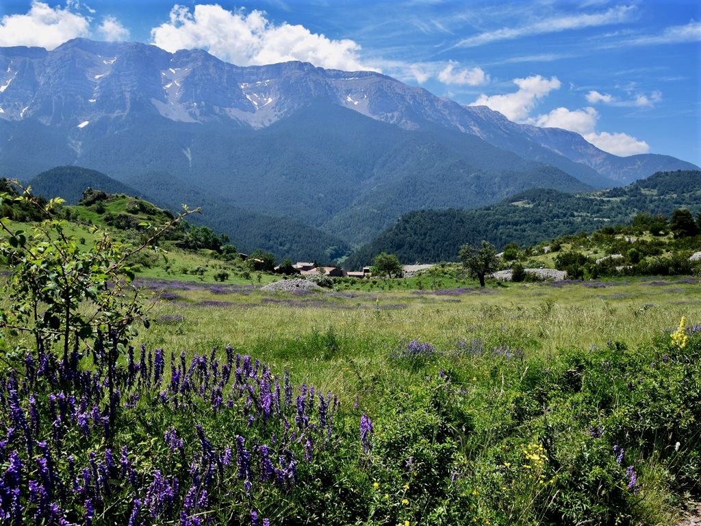 Andorra Kulturreise Höhepunkte Wiesen und Berge SRD