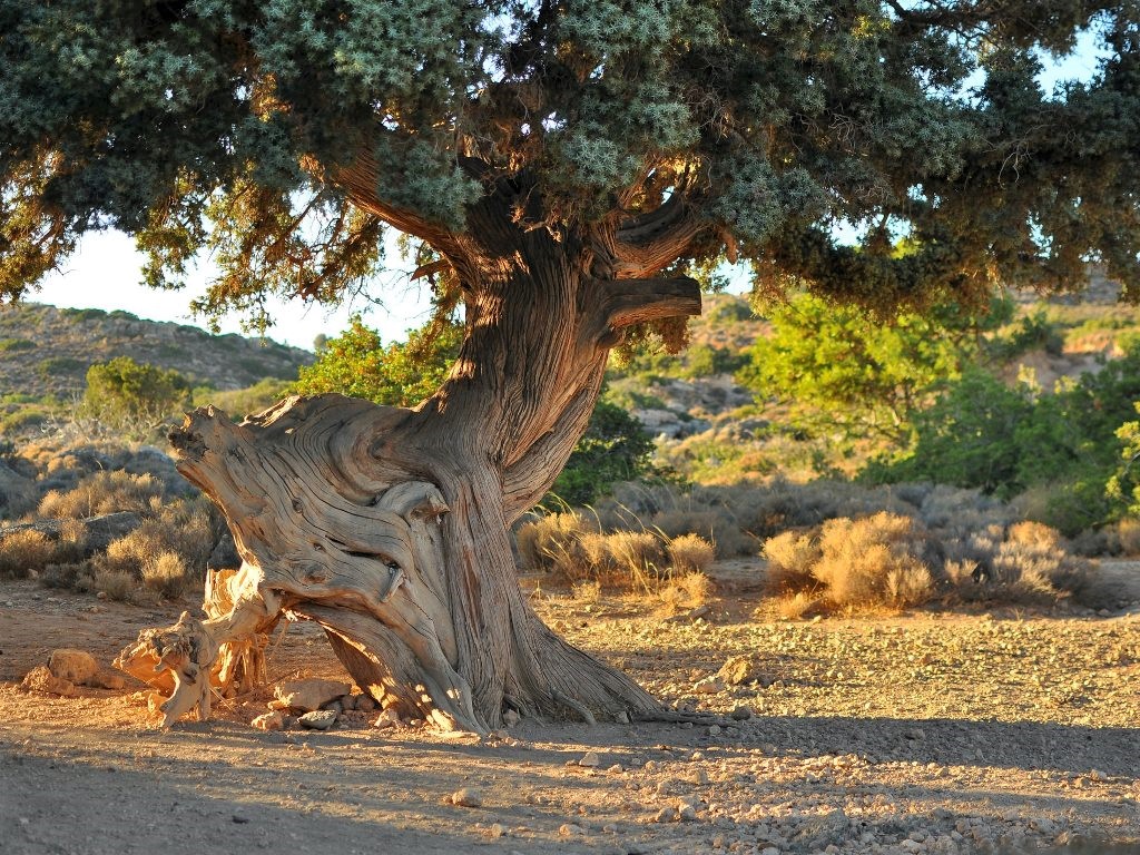 Kreta Wandern