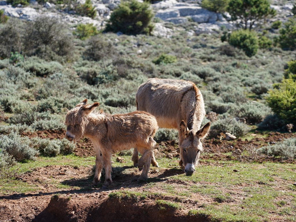 Sardinien Erholen