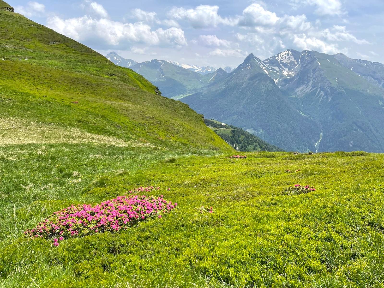 Alpenüberquerung
