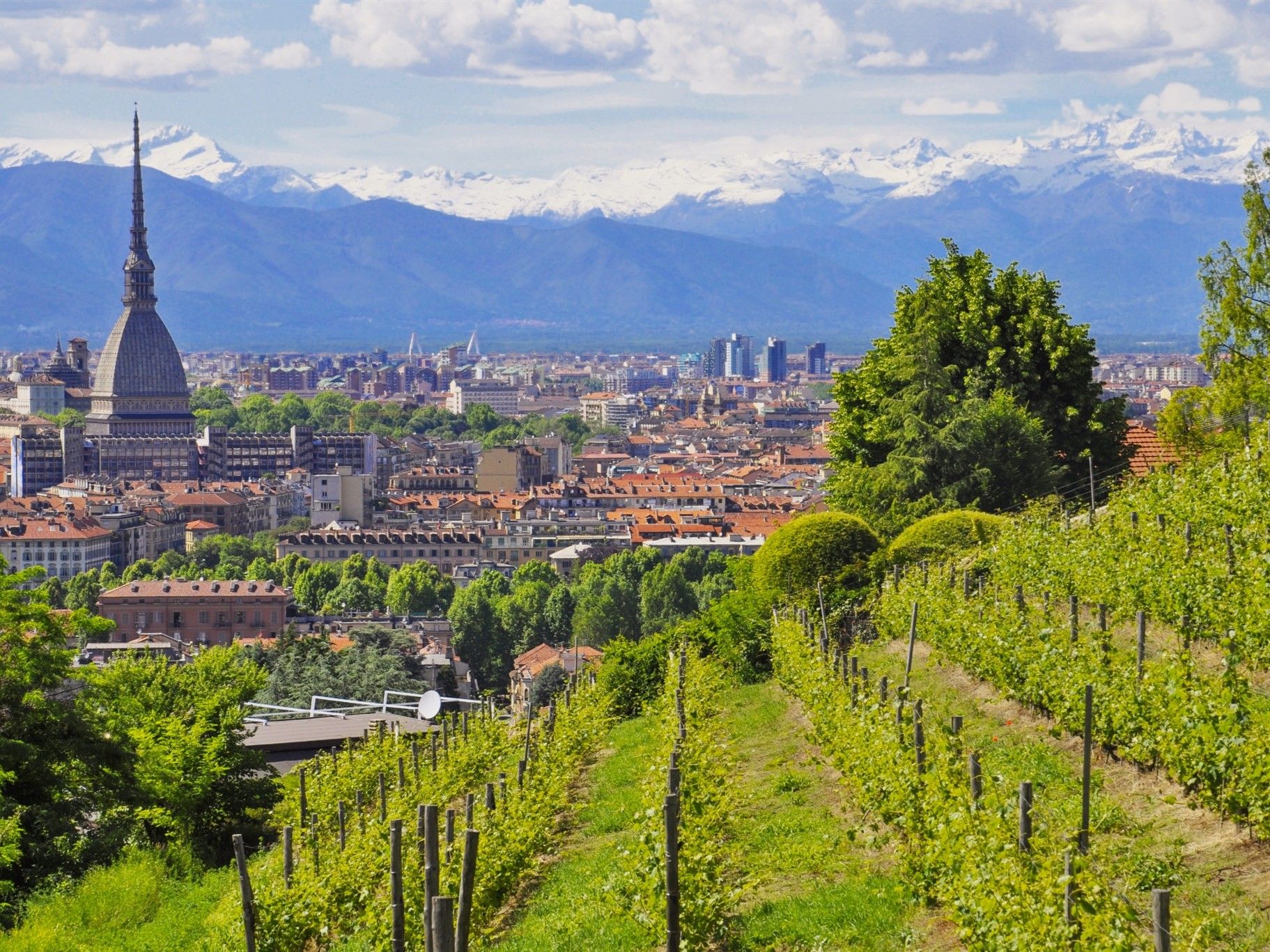 Piemont Rundreise Blick auf Turin mit Alpen im Hintergrund