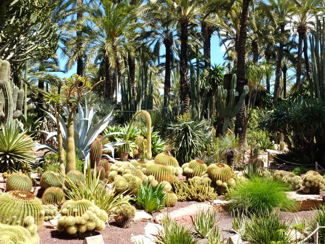 Costa Calida Erholen Huerto del Cura in Elx