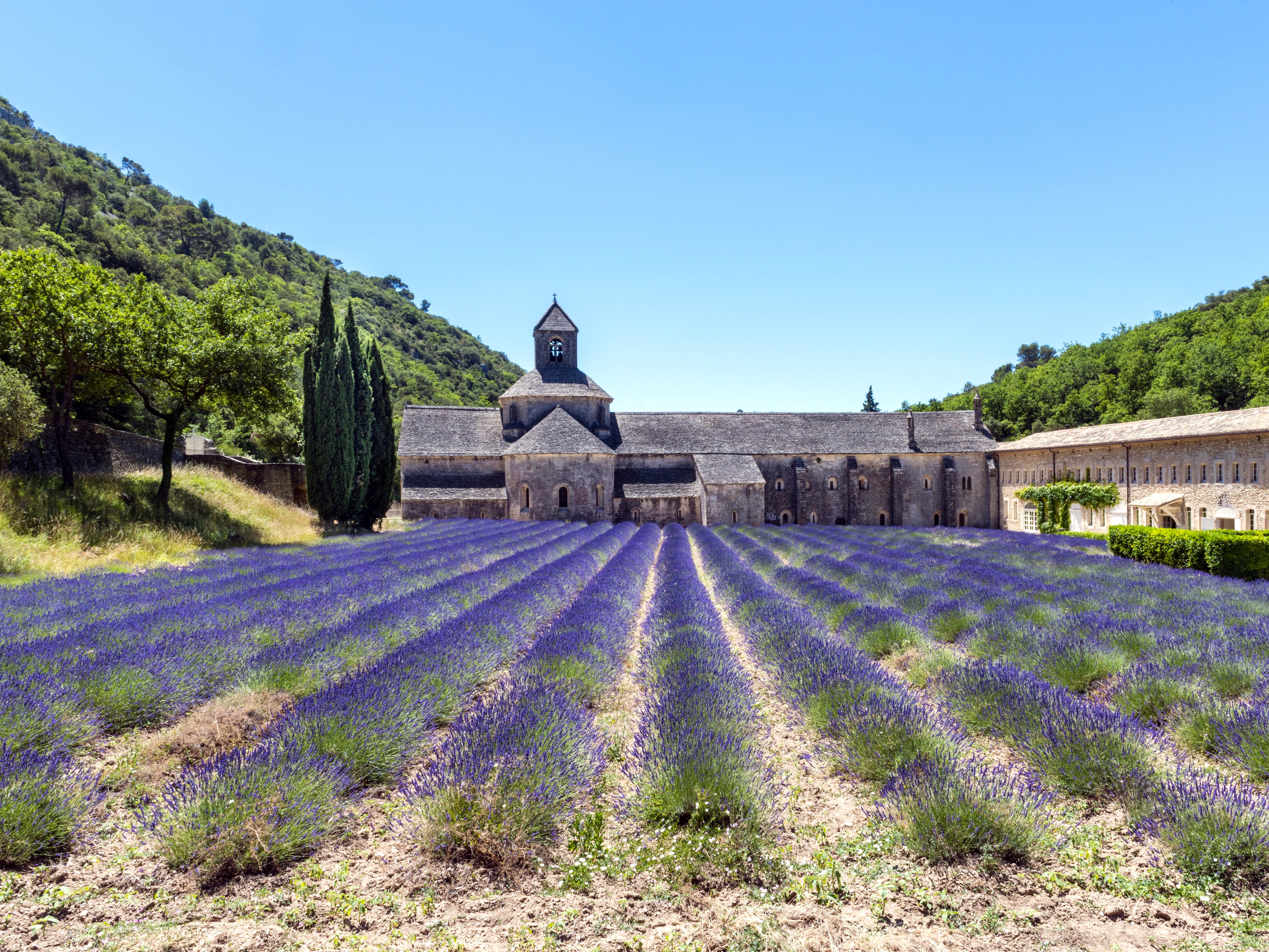 Provence Abtei von Senanque