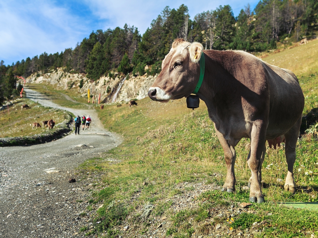 Andorra Wanderreise Weg in den Bergen SRD