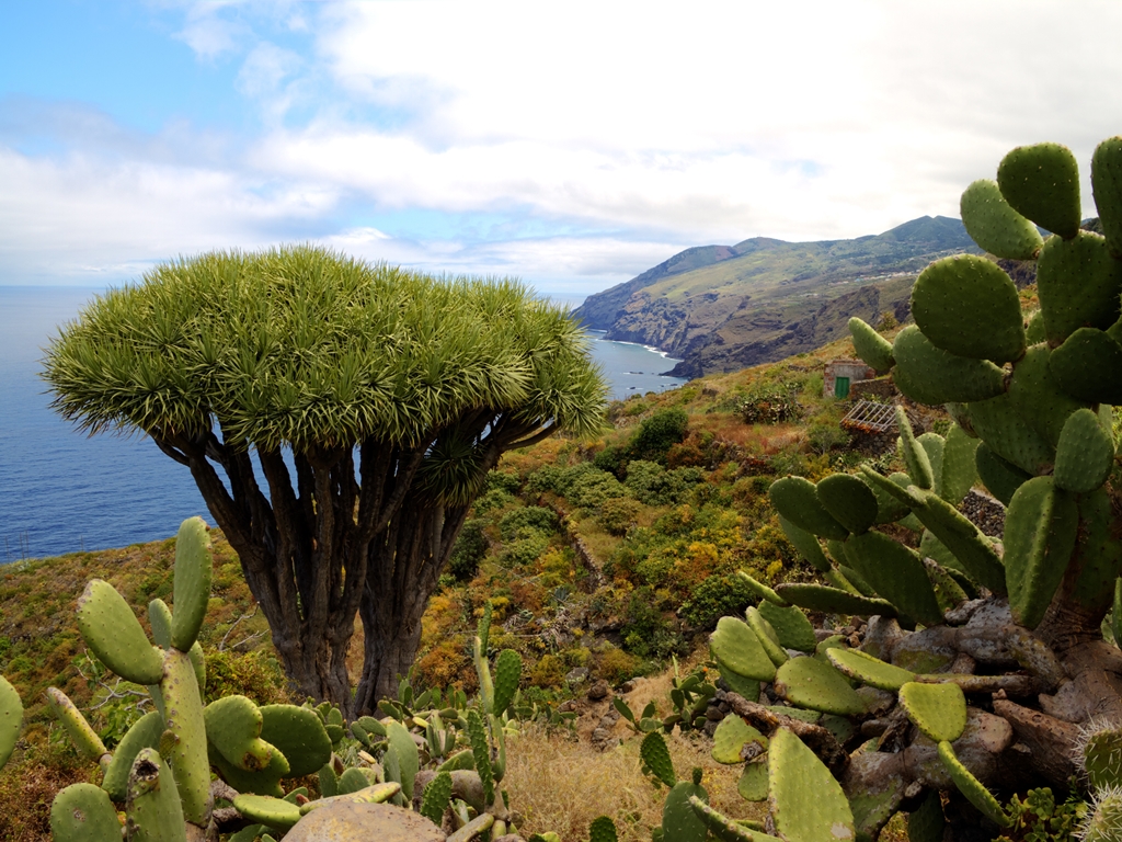 La Palma Wandern