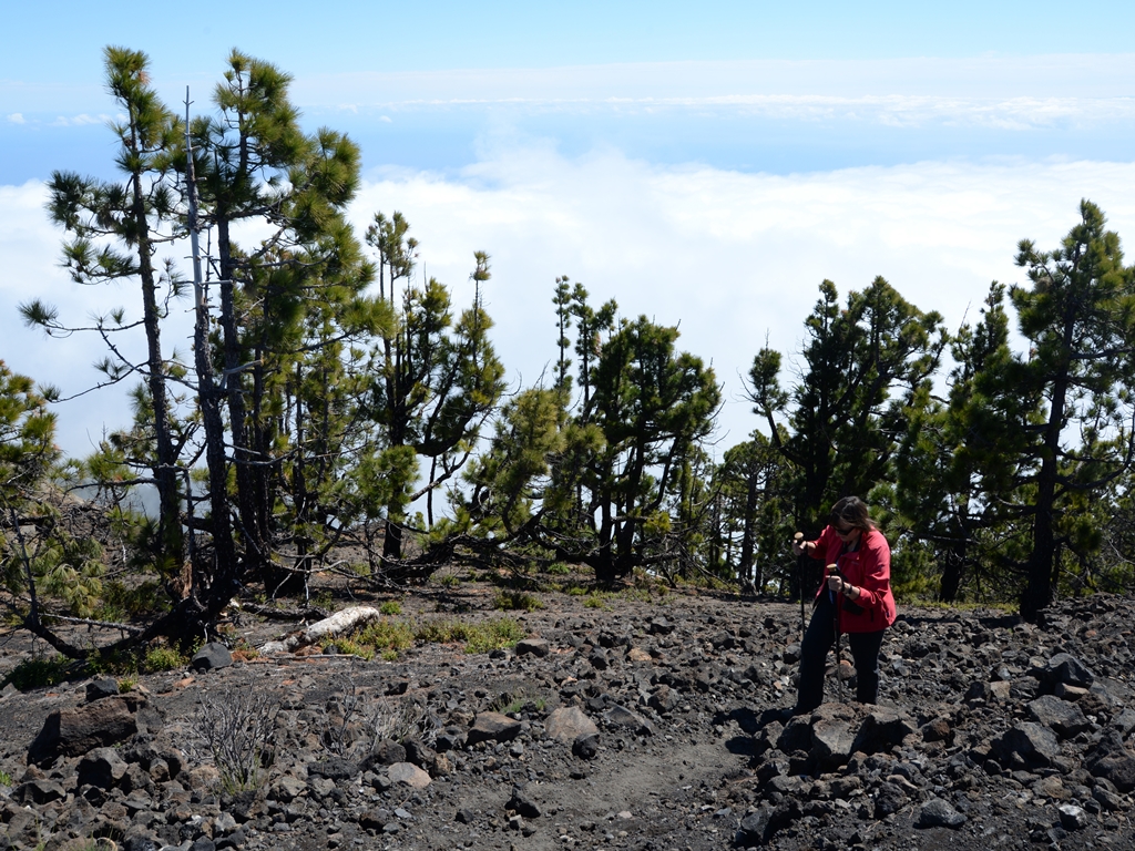 La Palma Wandern