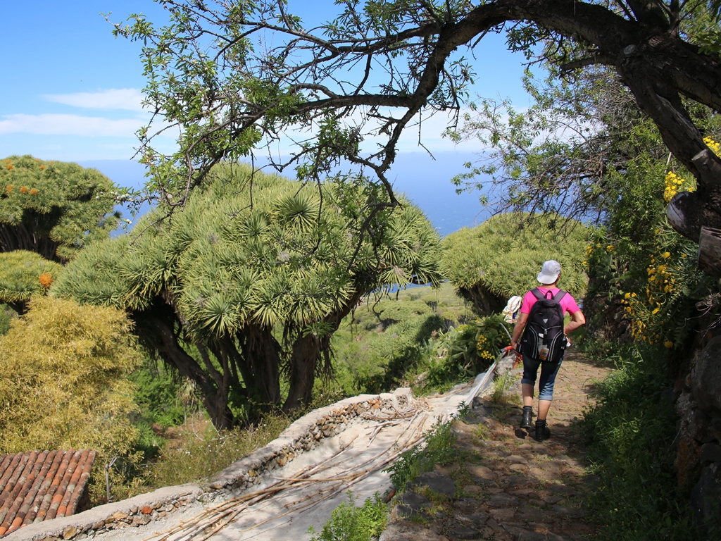 La Palma Wandern