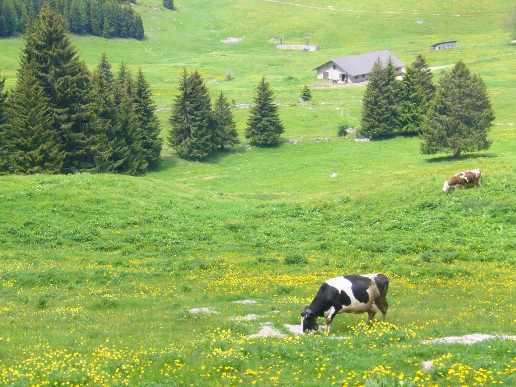 Ledro-Tal Wandern