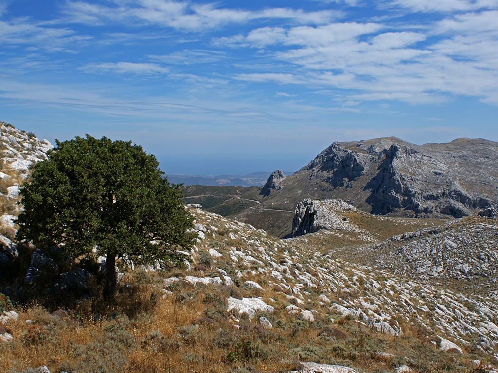 Sardiniens Osten