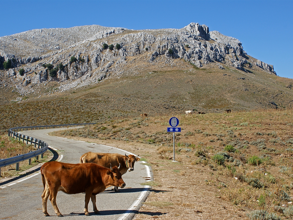 Sardiniens Osten