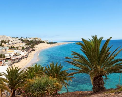 Fuerteventura Blick auf den Strand Morro Jable mit Palmen im Vordergrund