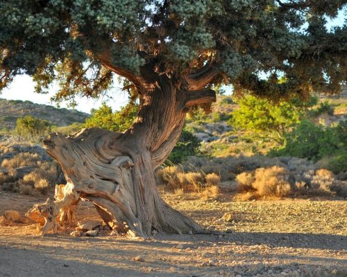 Kreta Wandern