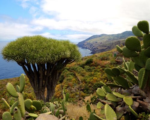 La Palma Wandern