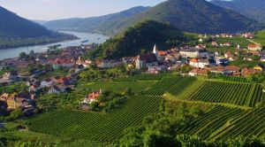 Wachau