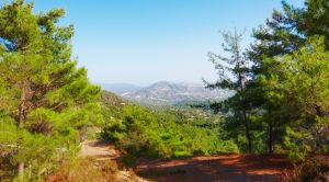 Zyperns Süden Wandern