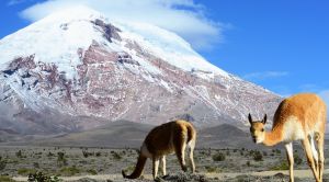 Ecuador Chimborazo