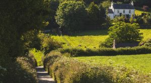 Jersey, Guernsey, Sark Höhepunkte der Kanalinseln Hinterland SRD