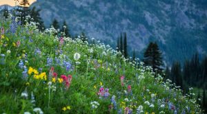 Ledro-Tal Wandern