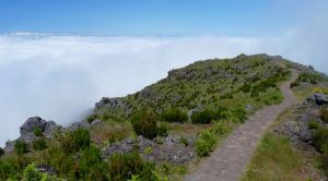 Madeira