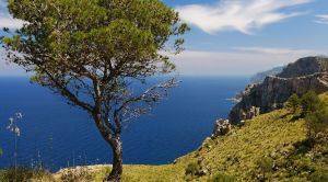 Mallorca Wandern