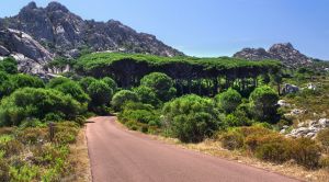 Sardiniens Norden