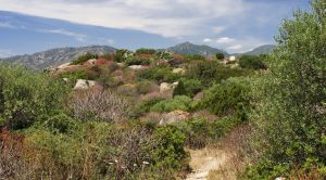 Sardiniens Süden