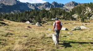Andorra Wander-Reise Wanderer über Hochwiese SRD