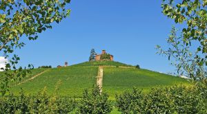 Piemont Wandern