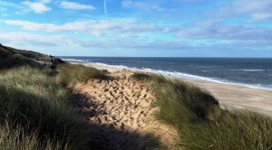 Sylt