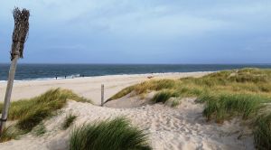 Sylt