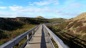 Sylt