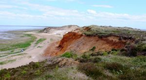 Sylt