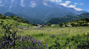 Andorra Kulturreise Höhepunkte Wiesen und Berge SRD